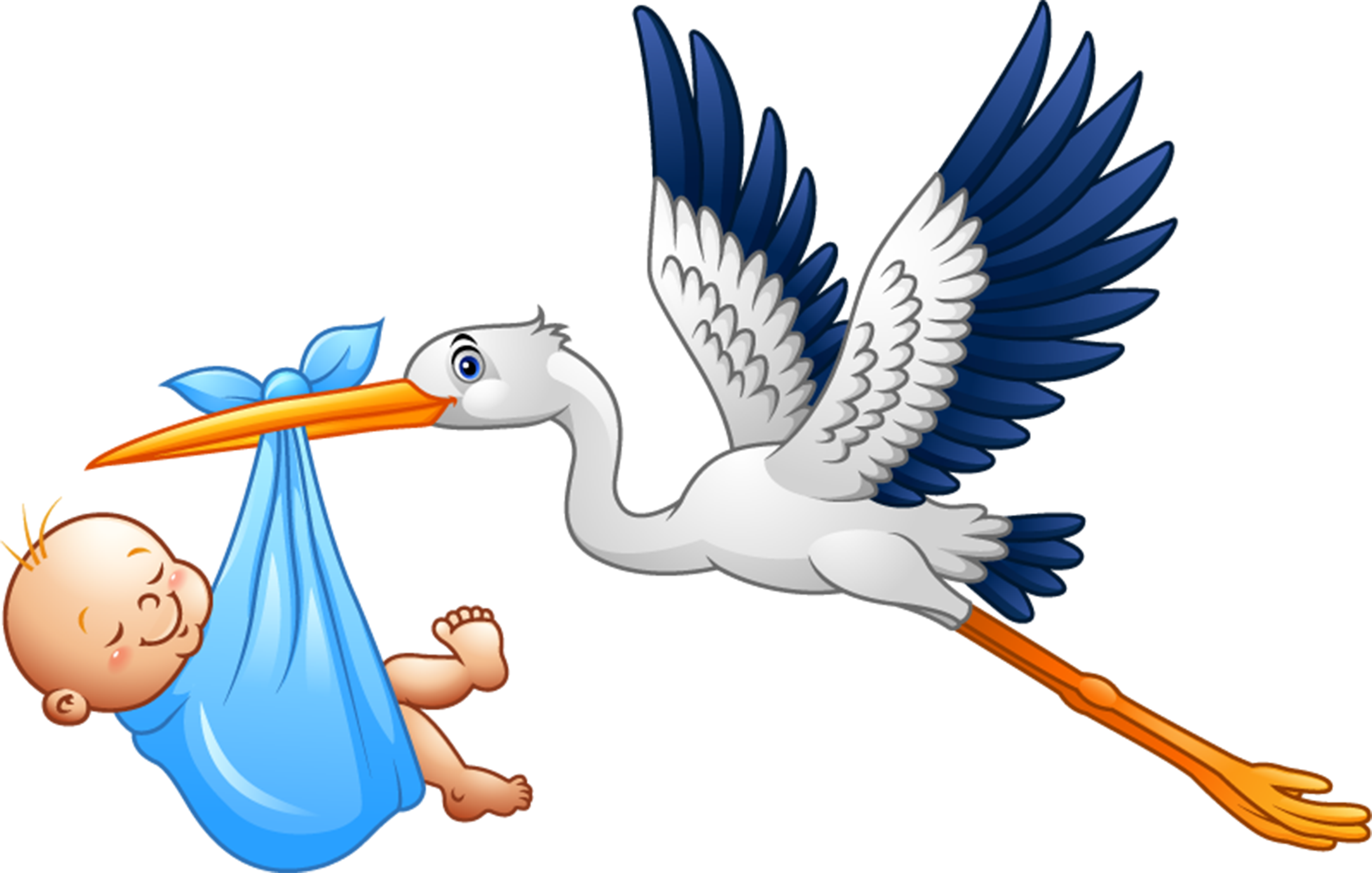 stork 4
